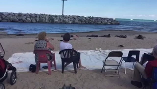 A Study in Rhyme & Song at 6018 North's Water Music on the Beach 2016 curated by Tricia Van Eck. Video documentation by Michael Solomon and Tina Smith.