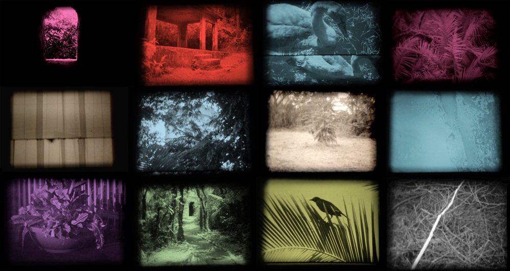 12 colorful vignettes show scenes from the film.