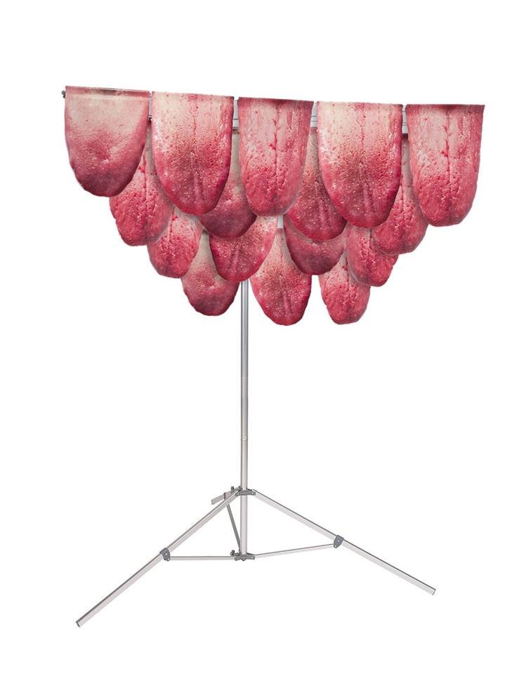Large cutout images of tongues hand from a clothes line in an empty white space.