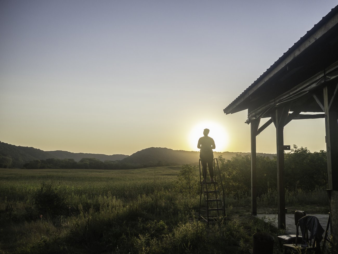 A figure stands on a ladder overlooking a green hilly landscape