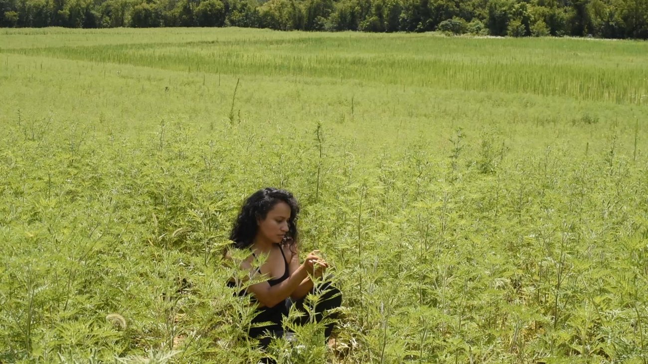 Video still depicting a person crouched in a green field of plants.
