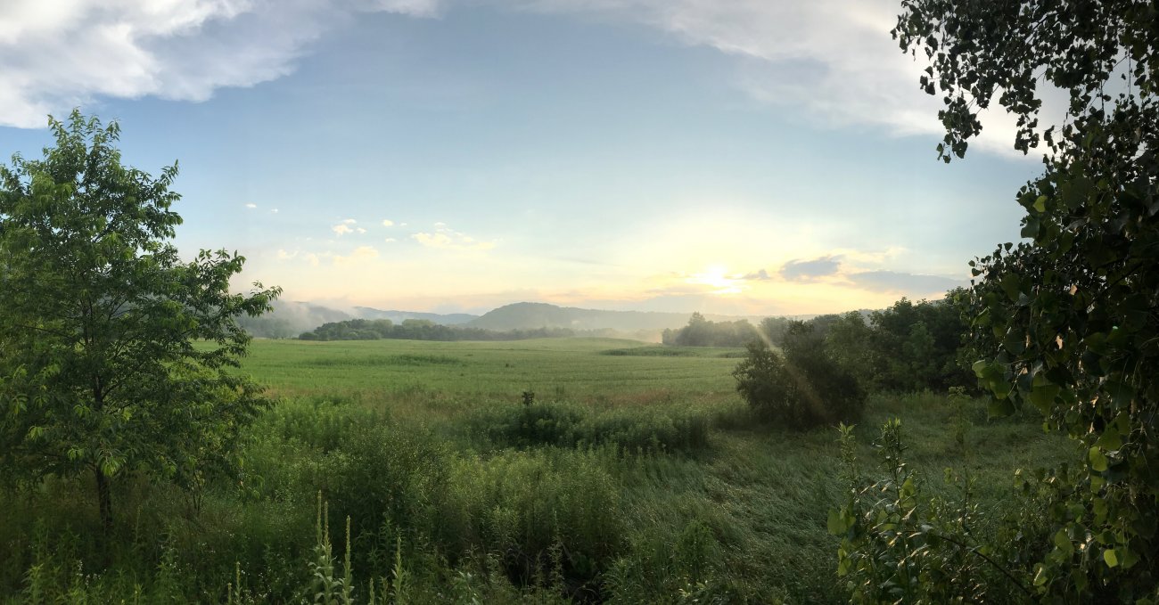 Lush green fields of ACRE