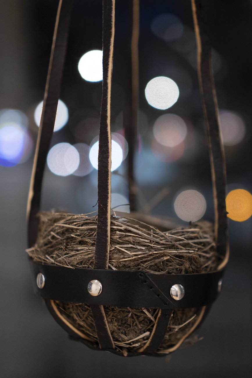 Closeup of a bird's nest in a leather holder